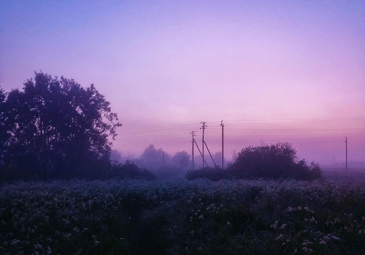 爆炸性揭秘：草莓视频丝瓜视频的核心秘密 · 秘密2