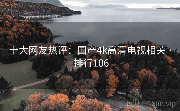 十大网友热评：国产4k高清电视相关 · 排行106