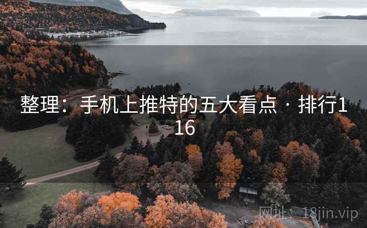 整理：手机上推特的五大看点 · 排行116