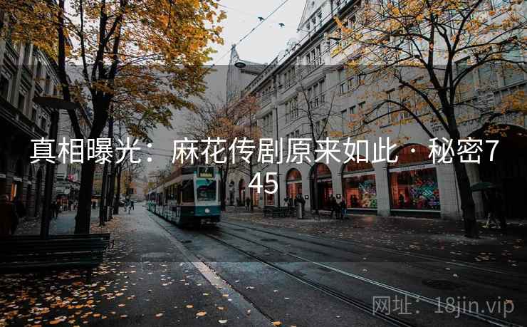 真相曝光:麻花传剧原来如此 · 秘密745